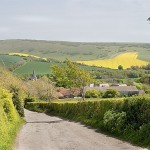 south_downs_lane